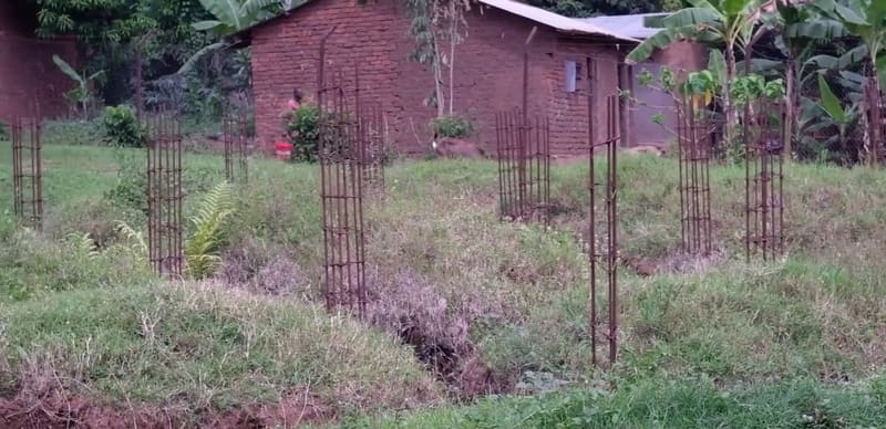 Steel reinforcing columns rise from overgrown ground where a planned building at Hadassah sits at foundation stage.
